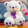 Gấu bông quà tặng cao cấp 2 gau teddy gau eo no tim